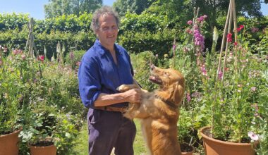 Monty Don to leave BBC Gardeners’ World