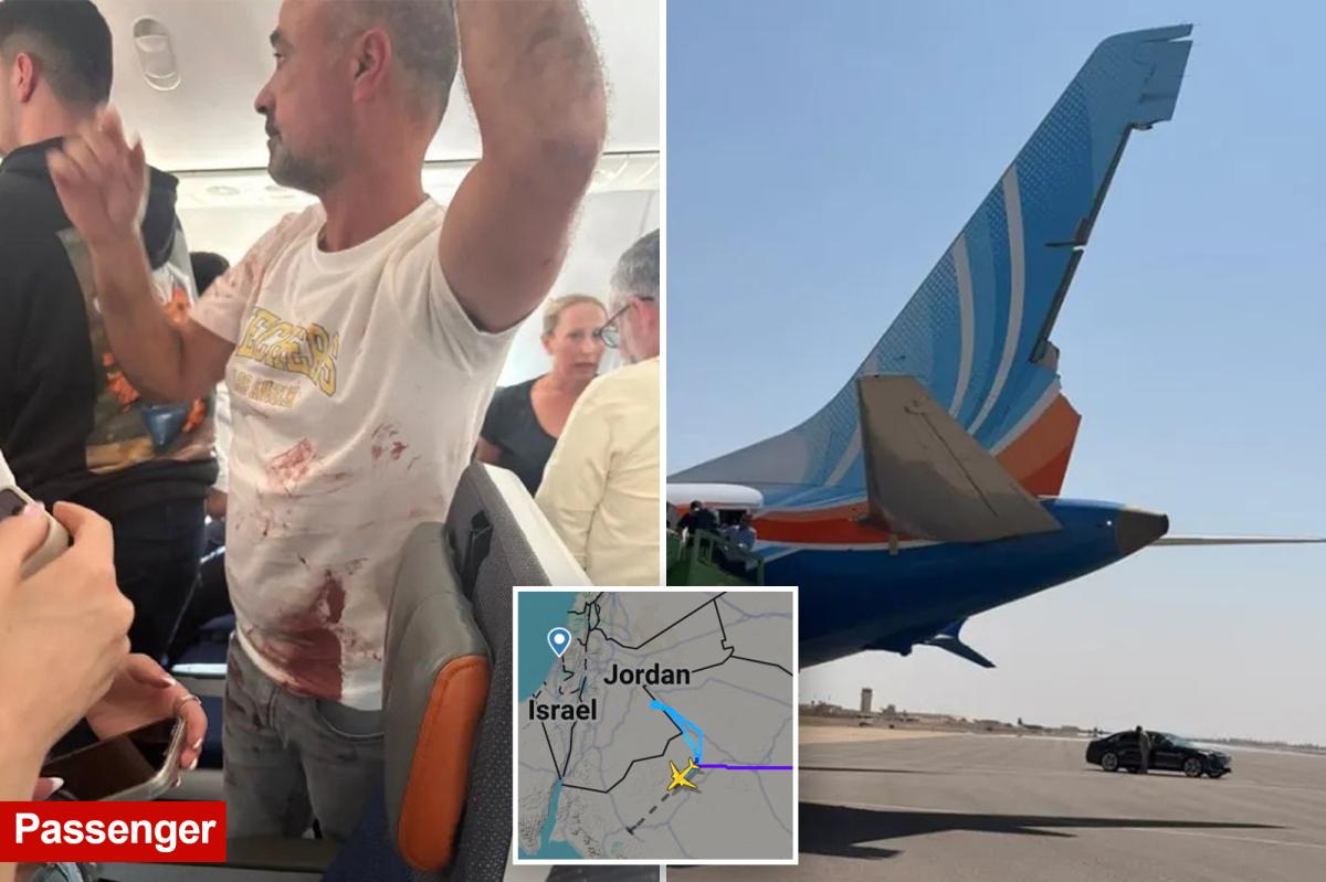 Israel-bound plane makes emergency landing in Saudi Arabia after pilots' brawl sparks hijacking fears: reports