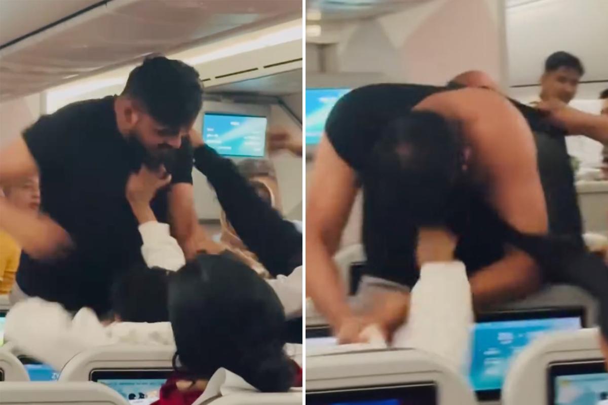 Plane passengers trade blows in fight in front of kids