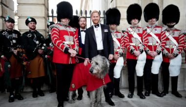 Prince Harry attends 1st official engagement in UK on same day as Prince William, King Charles events