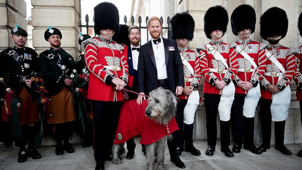 Prince Harry attends 1st official engagement in UK on same day as Prince William, King Charles events