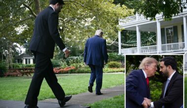 Lip reader shares Trump's offer to Zohran Mamdani after NYC meeting
