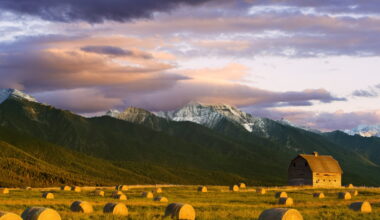 Geopolitics and grain don't mix, say these Montana farmers : NPR