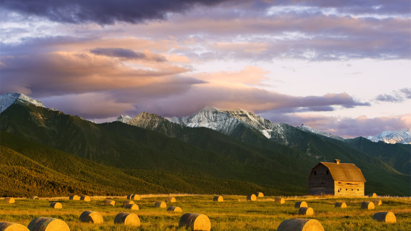 Geopolitics and grain don't mix, say these Montana farmers : NPR