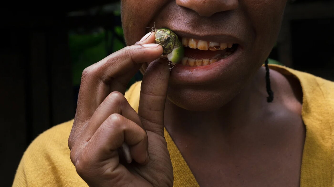 Ancient teeth pose a mystery. The answer might be betel nuts : NPR