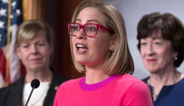 Sinema faces lawsuit under North Carolina 'homewrecker' law