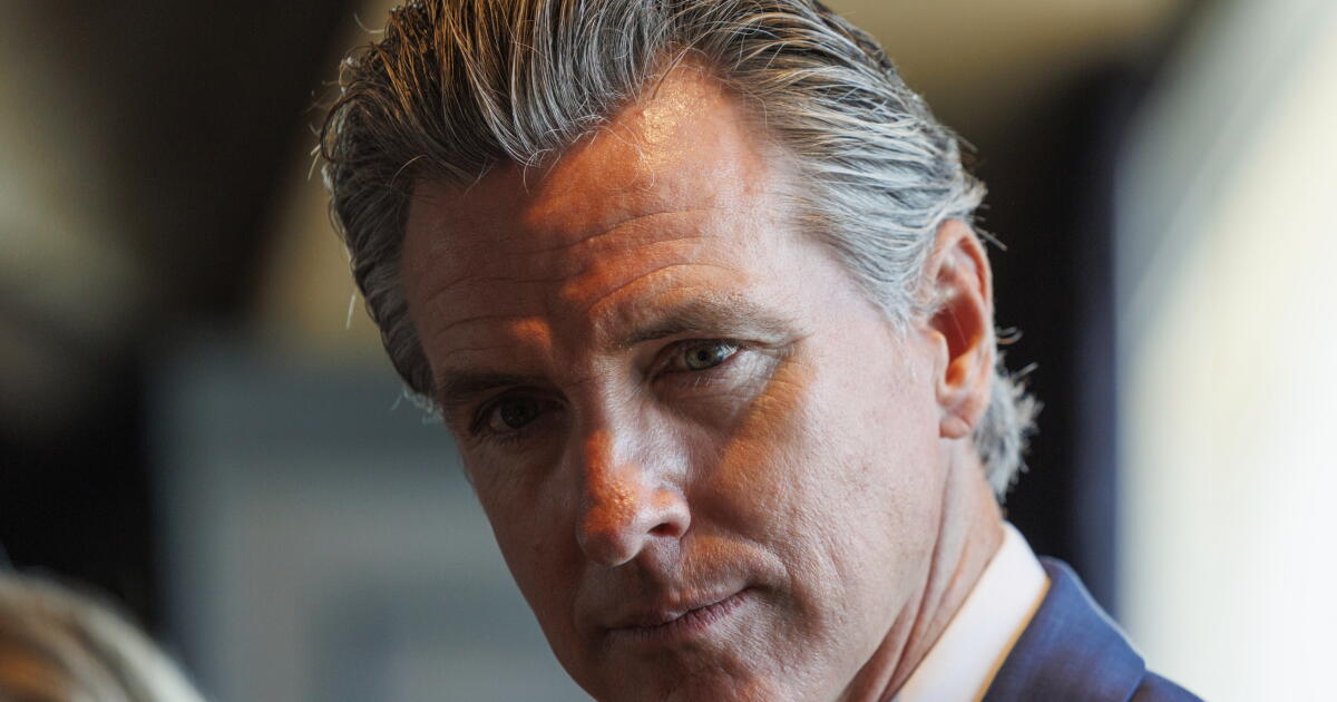 Newsom creates AI safety panel, suggests possible 'kill switch'