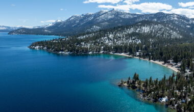 Woman attacked by sea otter at Lake Tahoe was bruised, bloodied but sure one skill saved her