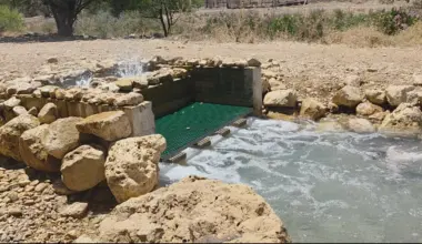 Two Israeli desalination plants offline after microalgae plume from Egypt - Israel & Jewish News