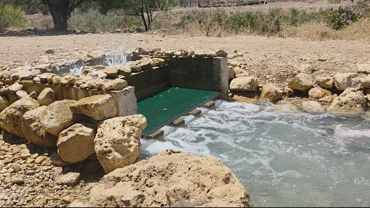 Two Israeli desalination plants offline after microalgae plume from Egypt - Israel & Jewish News