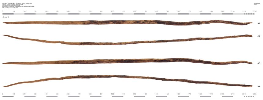 The wooden weapon would have been similar to javelin-style throwing spears found in 1995 at Schöningen, Lower Saxony in Germany, which are 200,000 to 300,000 years old.