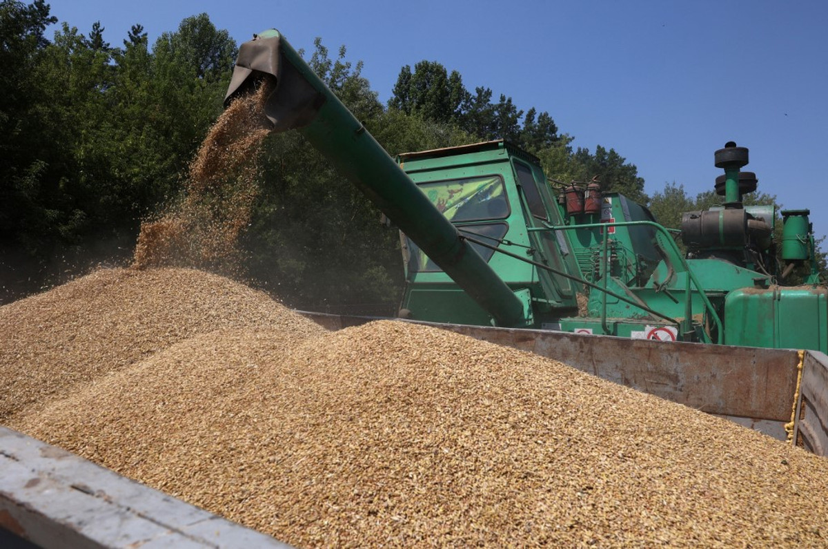 Poland, Romania Reject Ukraine Appeal for Grain Transit Help
