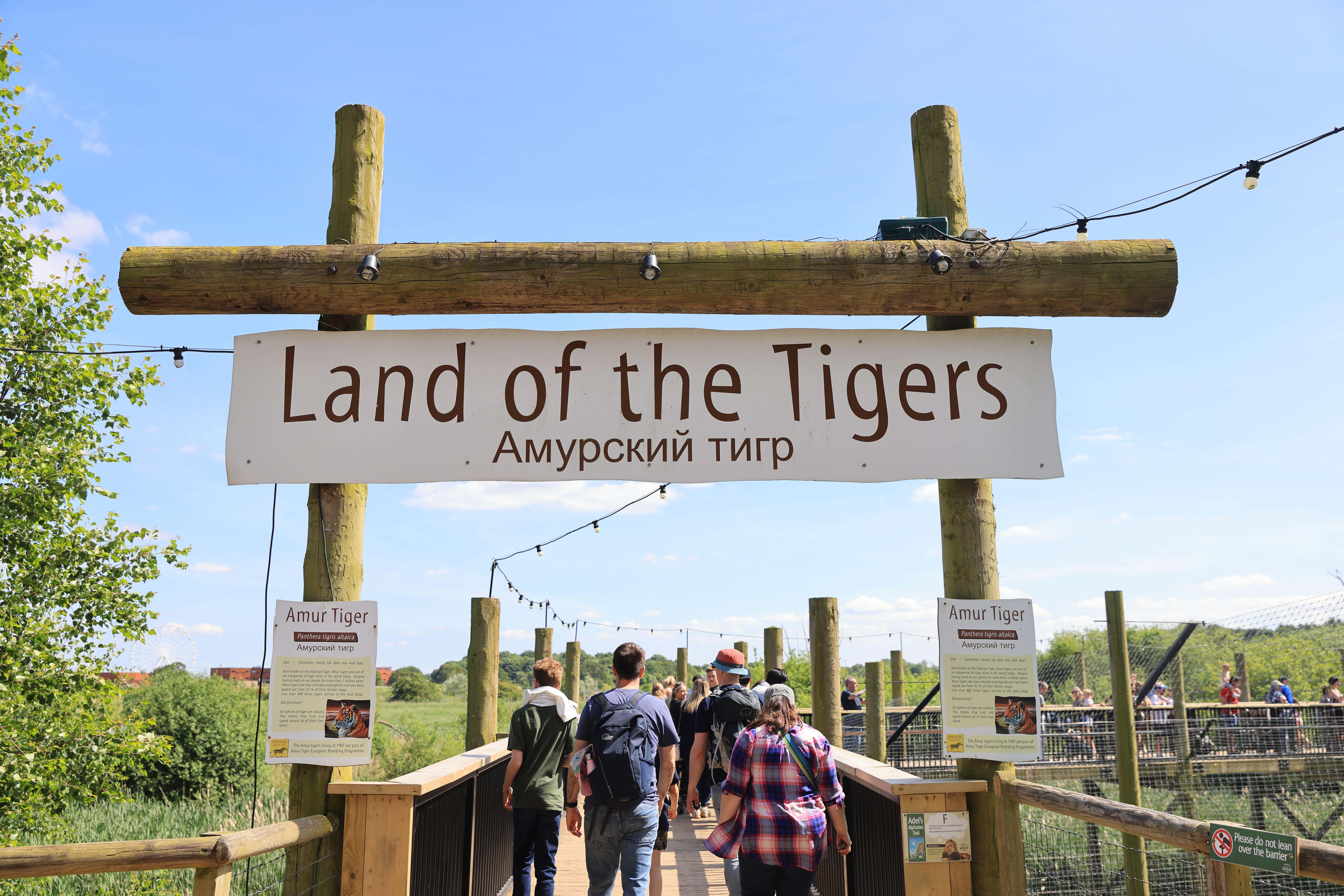 The man died after entering the enclosure at the Land of the Tigers attraction (Alamy/PA)