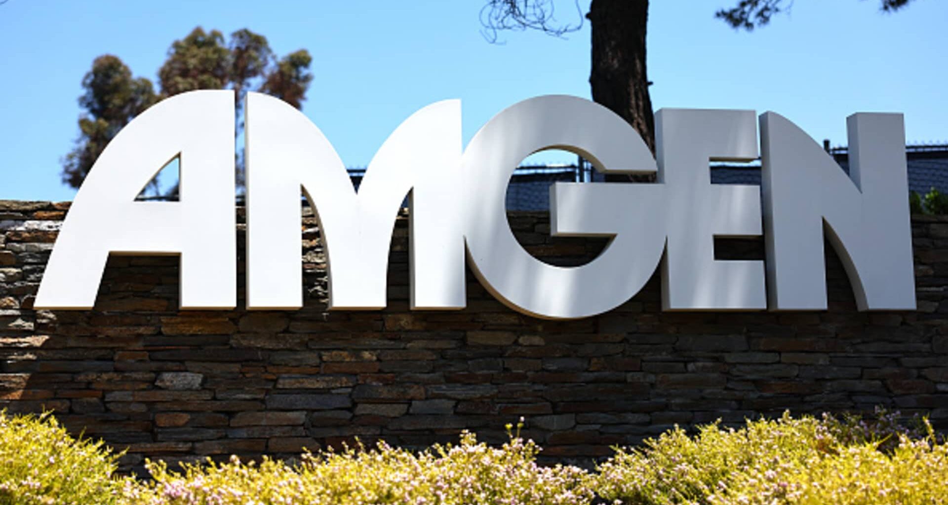 Amgen's Imdelltra combo cuts risk of death by 58% in lung cancer