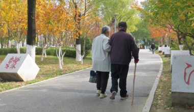 2029 tipping point: Aging Western populations set to strain public finances