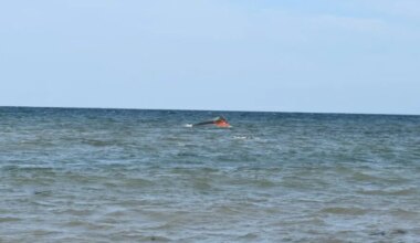 Over 100 Migrants Are Dead After Boat Capsizes Near Djibouti