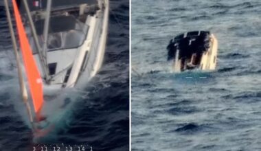 Sperm whales sink yacht in Pacific Ocean, crew rescued 18 hours later
