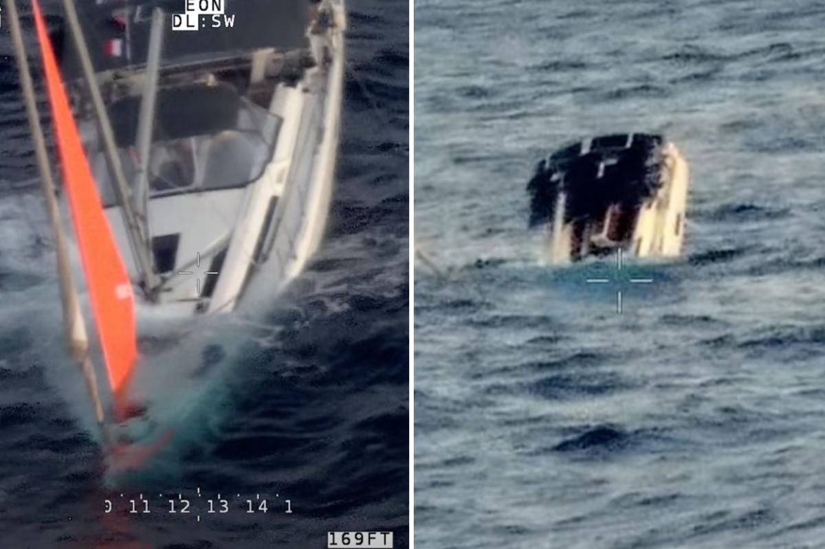 Sperm whales sink yacht in Pacific Ocean, crew rescued 18 hours later