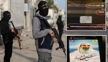 Two US brothers busted in $1.7M Hamas fundraising scheme — that was exposed with help from the NYPD