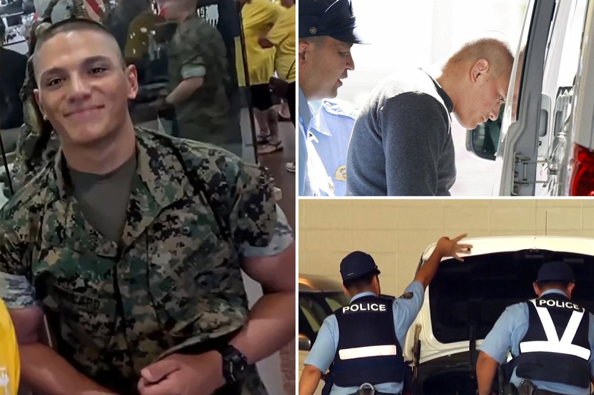 US Marine arrested in Japan over suspected killing of woman as Tokyo lodges 'strong protest'
