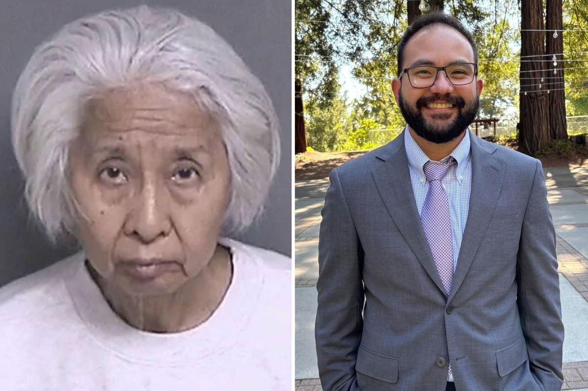 Grandma accused of shooting NYT exec son-in-law says husband fired deadly shots