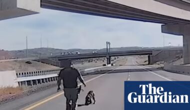 Video shows moment Utah police dog seriously injured in leap from overpass | Utah