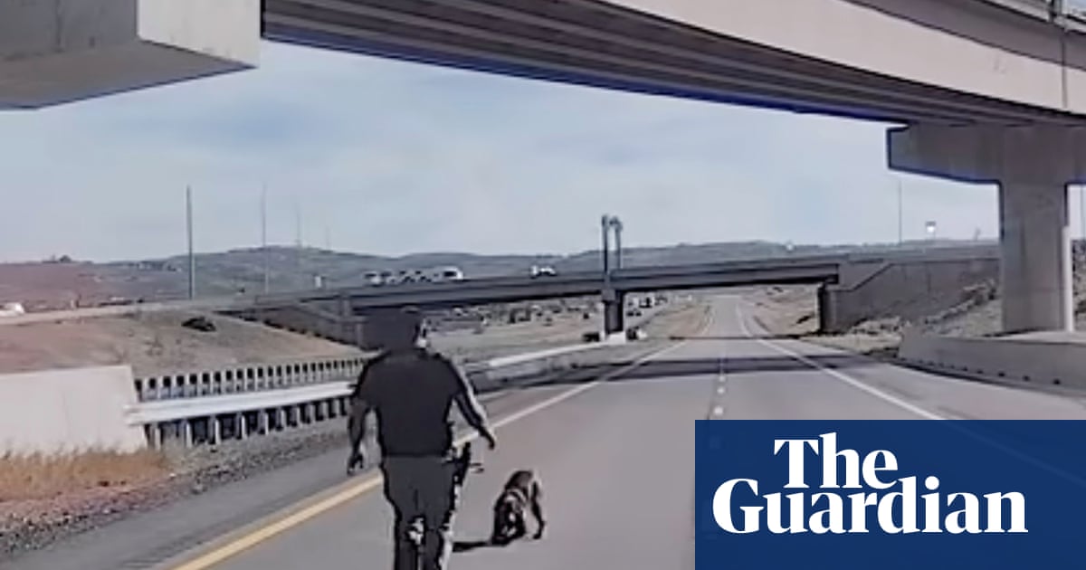 Video shows moment Utah police dog seriously injured in leap from overpass | Utah