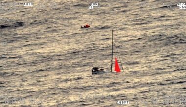 Whale Collision Sinks Yacht, Stranding Sailors for 17 Hours