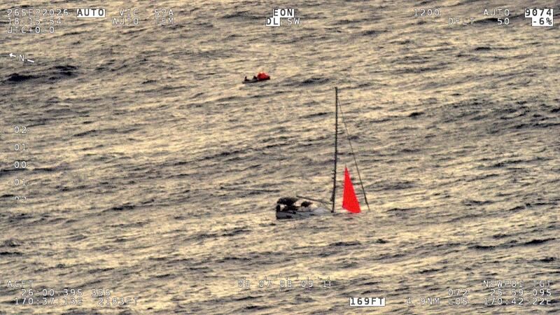 Whale Collision Sinks Yacht, Stranding Sailors for 17 Hours