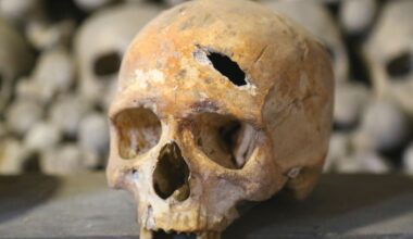 Ancient Skull Fractures Hint at Human Sacrifice in Egypt