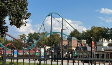 Six Flags Rider 'Passed Out' Before Fatal Fall: Family