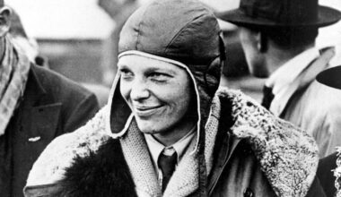 It Wasn't Earhart's Plane, Just a Clump of Trees