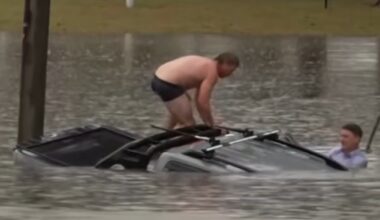 TV Reporter, Bystander Save Man From Sinking Car
