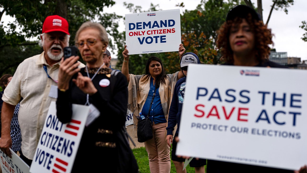 Federal noncitizen voter fraud cases challenge Democrats' denials