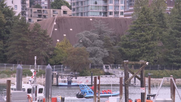 The Vancouver Aquatic Centre may get a 50-metre pool after all — thanks to the election