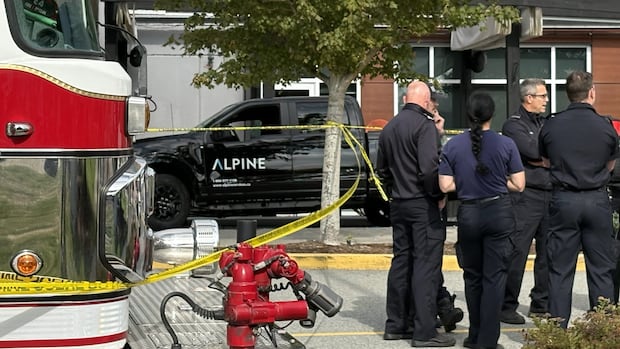 Tsawwassen First Nation identifies 2 elders killed in crash outside mall