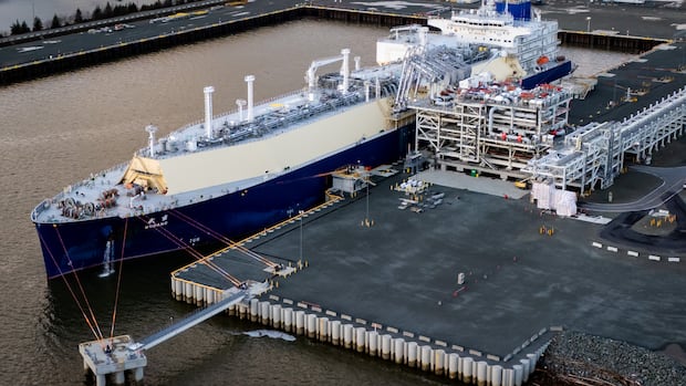 LNG Canada to use Chinese steel on $33-billion expansion project in Kitimat, B.C.