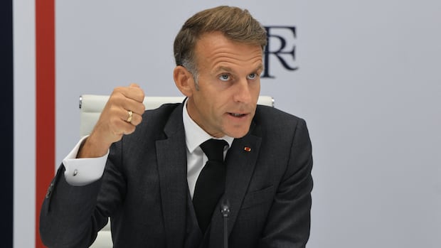 G7 nations agree to release 100 million barrels of oil, including diesel, amid energy crunch