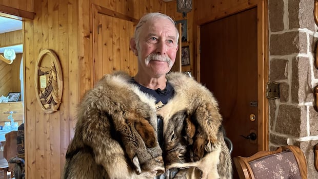 Bathurst-area man escapes bear attack while picking blueberries