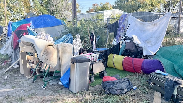 City of Saskatoon cancels in-person count of unsheltered people over safety concerns