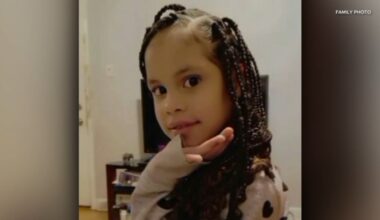 Chatham, Chicago stabbing: 7-year-old girl Edimari Hernandez Chacon stabbed to death by woman on S. Cottage Grove Ave.: officials