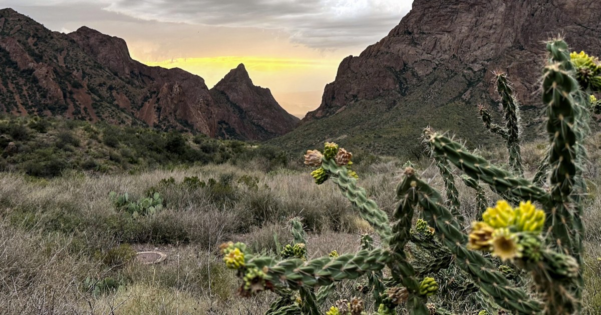 Federal court temporarily blocks Trump administration’s border wall in Texas’ Big Bend region