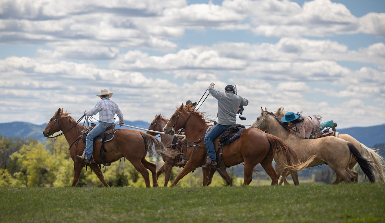 Horses.