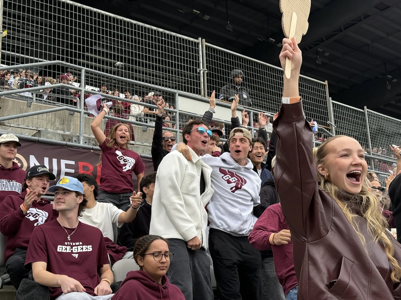 An image of fans in the stands.