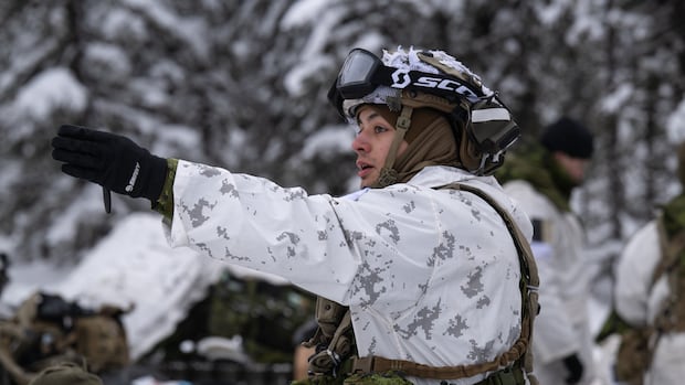 Cold reality: Canadian troops struggle in Alaska as military relearns Arctic warfare