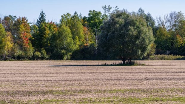 Tewin development takes next steps with Taggart family at helm of Algonquins of Ontario Realty Corp.