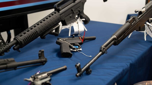 13 guns, 20,000 rounds of ammo seized from homes north of Winnipeg: RCMP