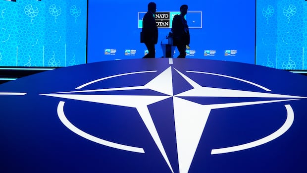 Alleged NATO spy case brings 'some serious lessons' for Canada, public safety minister says