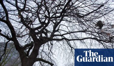 Loss of green space could be issue that decides Holborn and St Pancras byelection | Holborn and St Pancras byelection