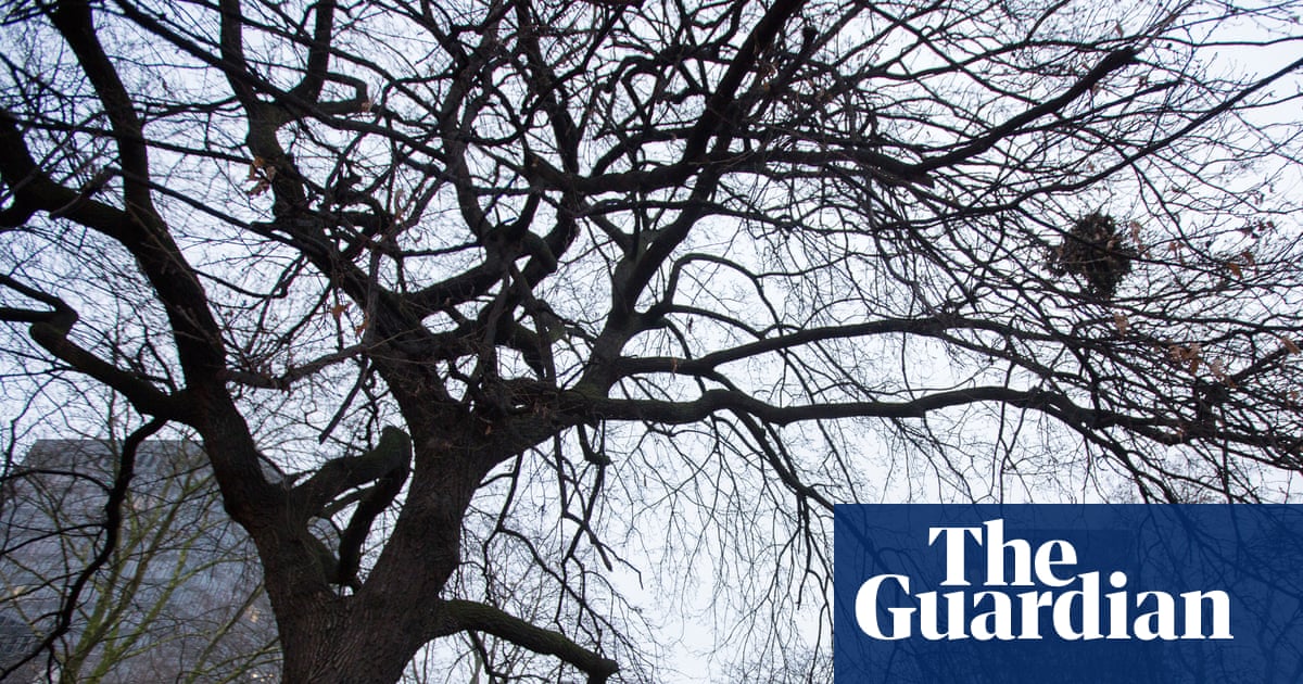 Loss of green space could be issue that decides Holborn and St Pancras byelection | Holborn and St Pancras byelection